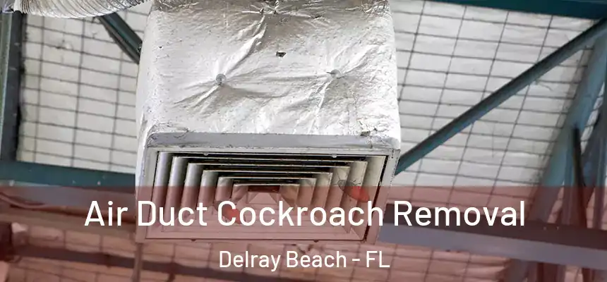 Air Duct Cockroach Removal Delray Beach - FL