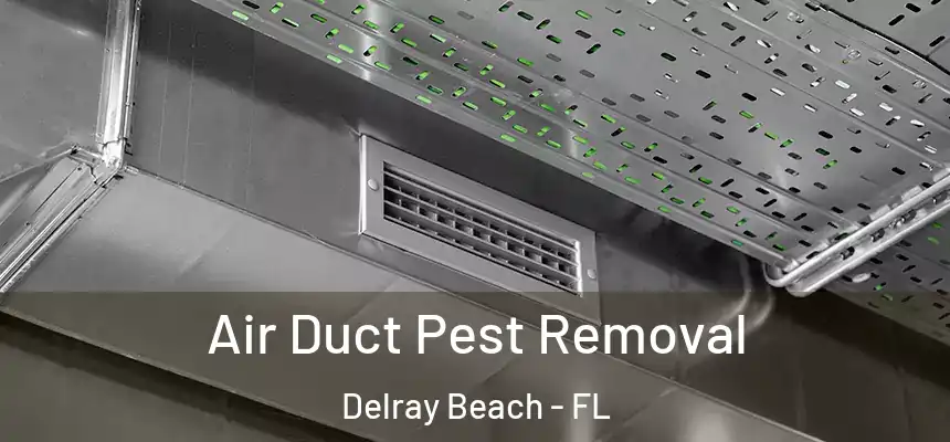 Air Duct Pest Removal Delray Beach - FL
