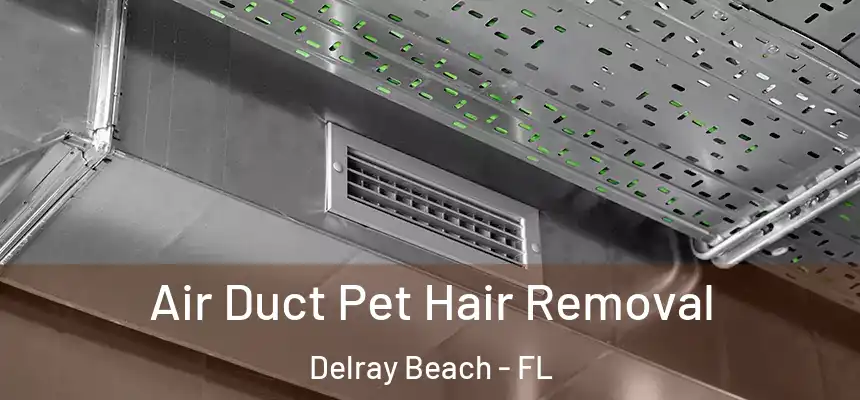 Air Duct Pet Hair Removal Delray Beach - FL