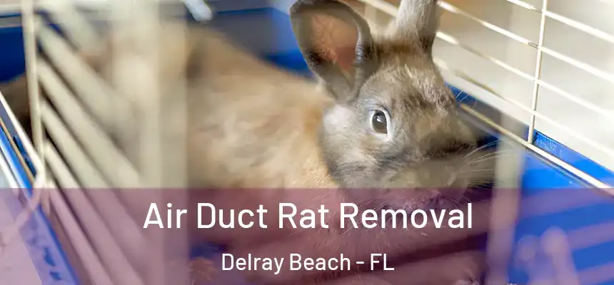 Air Duct Rat Removal Delray Beach - FL