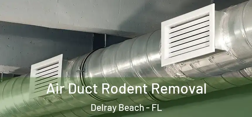 Air Duct Rodent Removal Delray Beach - FL
