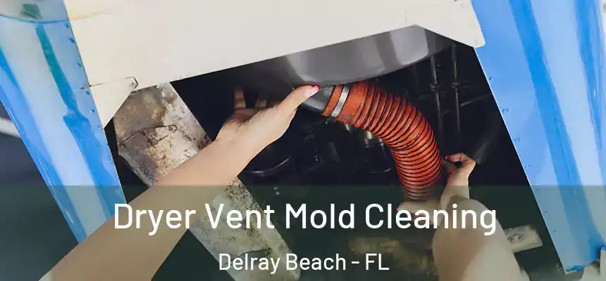 Dryer Vent Mold Cleaning Delray Beach - FL