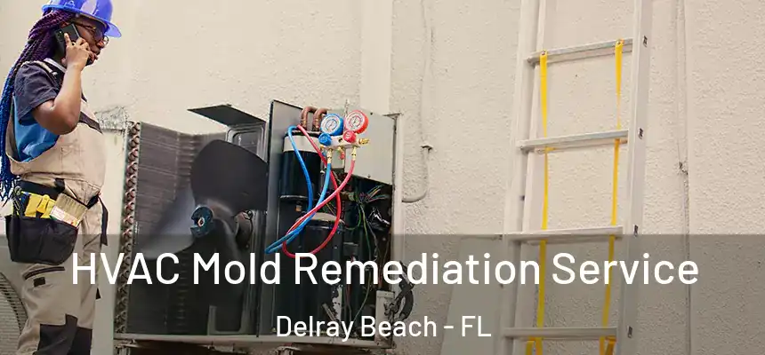 HVAC Mold Remediation Service Delray Beach - FL