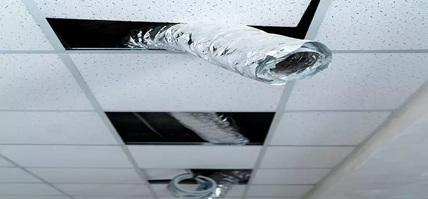 Affordable HVAC Sanitizing After Pest Removal in Delray Beach