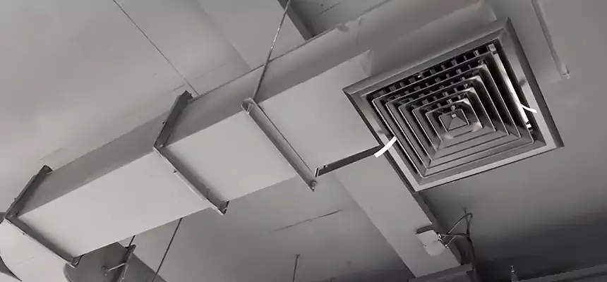 Restorative Allergy Relief Vent Cleaning – Coil, Blower & Housing Detail in Delray Beach