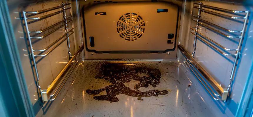 Our Dryer Vent Mold Cleaning Services in Delray Beach, FL