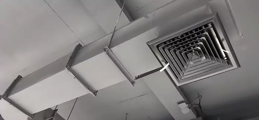 Our Pest Removal From Ducts Services in Delray Beach, FL