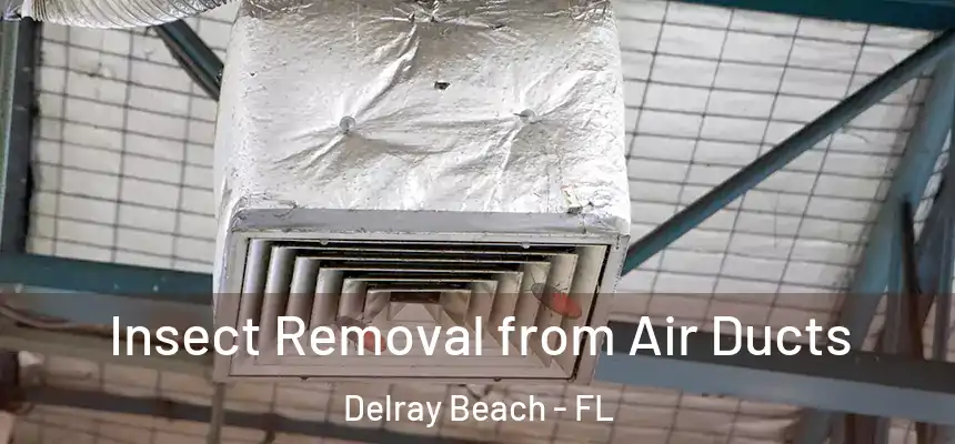 Insect Removal from Air Ducts Delray Beach - FL