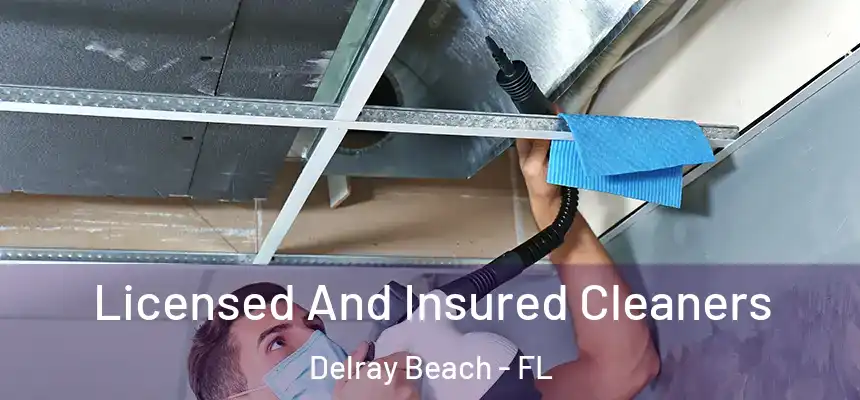 Licensed And Insured Cleaners Delray Beach - FL