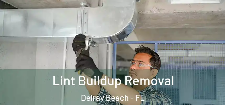 Lint Buildup Removal Delray Beach - FL