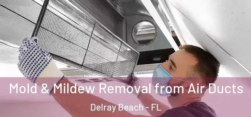 Mold & Mildew Removal from Air Ducts Delray Beach - FL