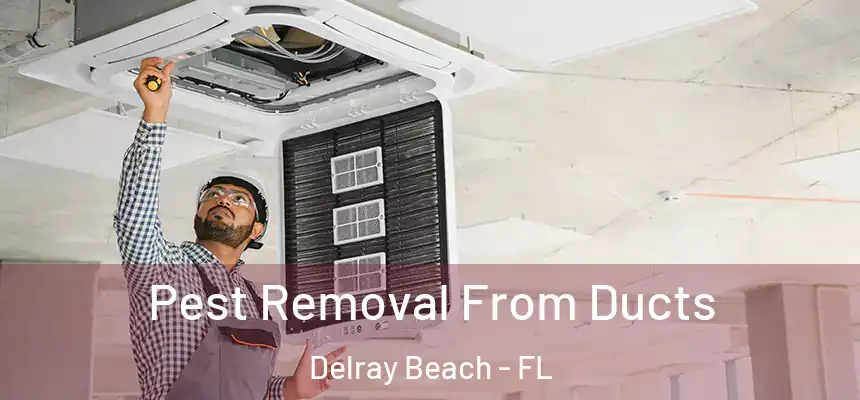 Pest Removal From Ducts Delray Beach - FL