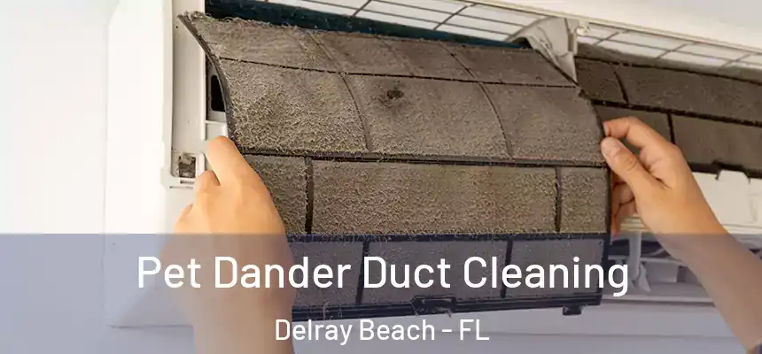 Pet Dander Duct Cleaning Delray Beach - FL