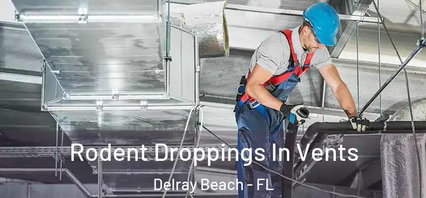Rodent Droppings In Vents Delray Beach - FL