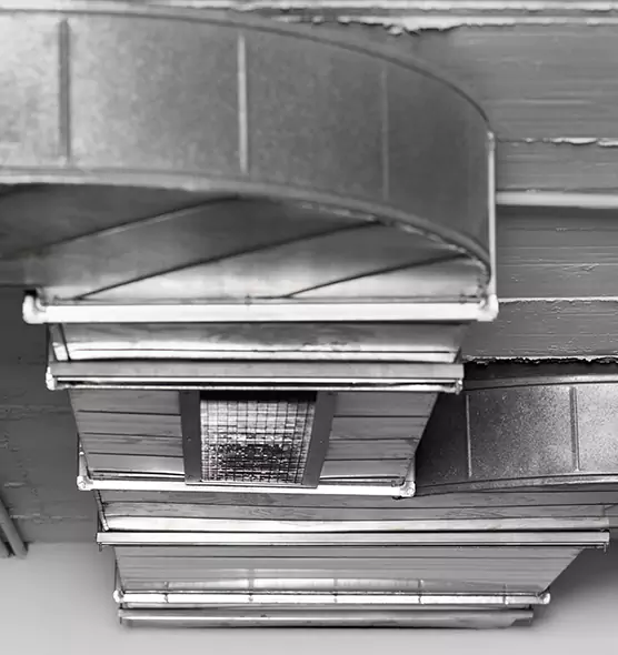 Professional Air Duct Pet Hair Removal in Delray Beach, FL