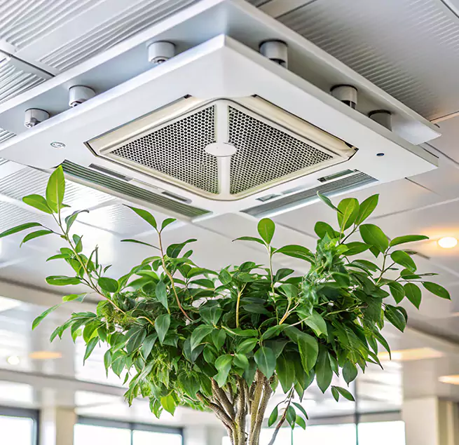 Why Homeowners & Businesses Trust Us in Delray Beach, FL?